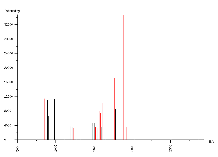 Mass spectrometry diagram